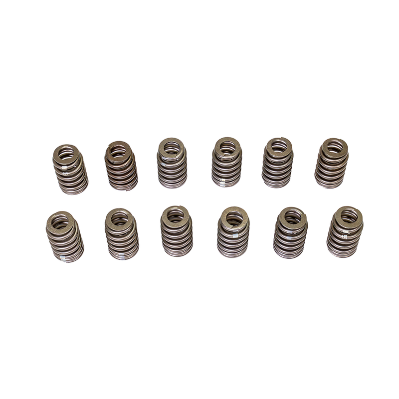 90# Valve Springs - Set of 12 - 3800