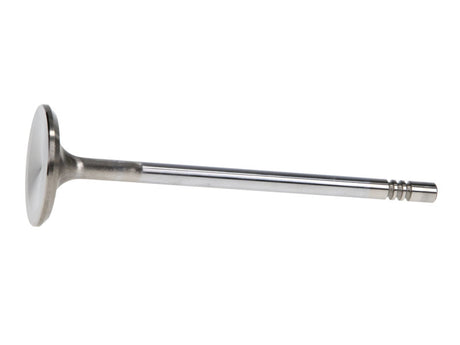 Soupapes d'échappement Race Master Manley Ford 4,6 L 34 mm de diamètre 117,35 mm de longueur (jeu de 8)