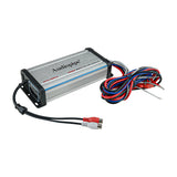 APTV-1000.2 Class D Amplifier Audiopipe