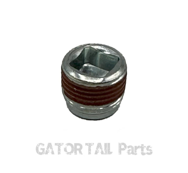 Oil Drain Plug Briggs
