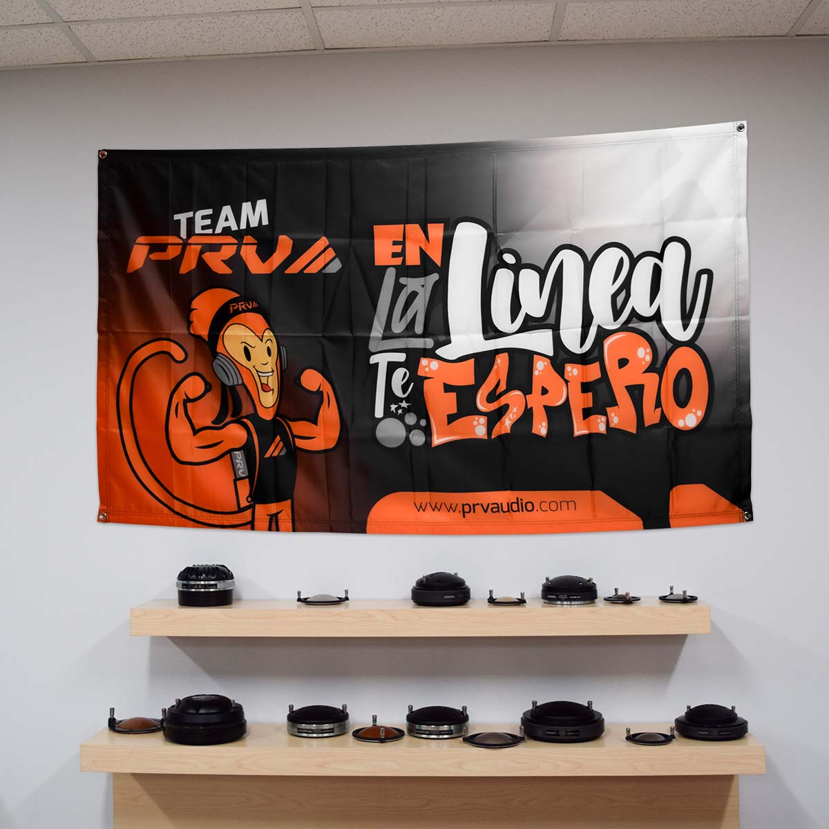PRV Audio Gio Mascot Spanish Banner