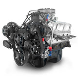 Ford Small Block Compatible 302 c.i. Engine - 361 Horsepower - Deluxe Dressed - Black Pulley Kit - Rear Sump - Carbureted