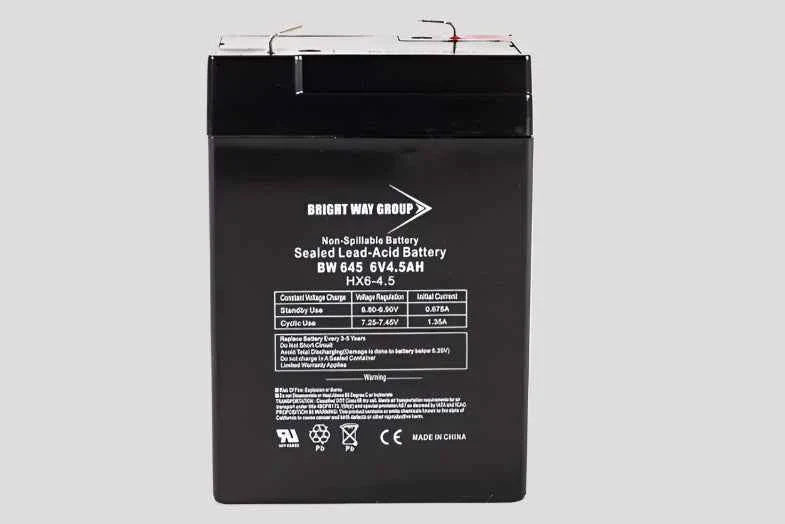 Bright Way Group BW 645 - 6V 4.5AH SLA Battery Bright Way