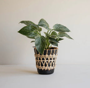 Terracotta Woven Small Planter KB Decor & More