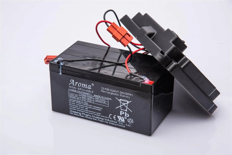 Can Am Maverick (2 seater) - Battery