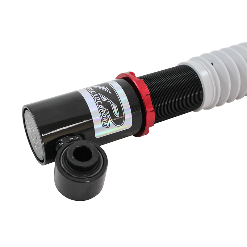 ZZP Ion Redline Coilovers