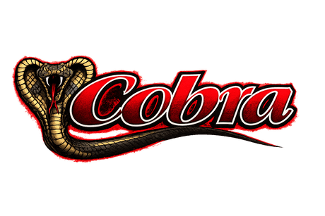 “Cobra/Controller” EZ-GO Series Electric Golf Cart Motor & Controller – 36V 13.7HP 22-25MPH