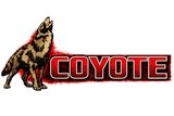 “Coyote” Yamaha Series Electric Golf Cart Motor - 36V 11.5HP 20-22MPH