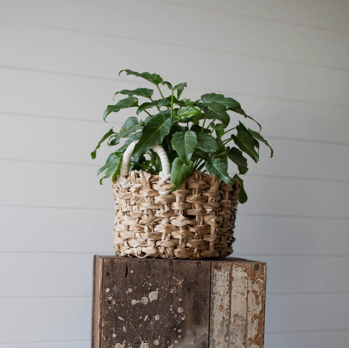 Sea grass Basket KB Decor & More