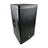 12” Professional 2-Way Passive Loudspeaker (DJAK-P12) Audiopipe
