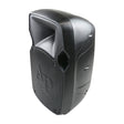 10” Professional Passive Loudspeaker (DJAP-1034PSV) Audiopipe