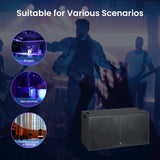 DJAP-SUP18202D 18“ Professional Passive Loudspeaker Audiopipe
