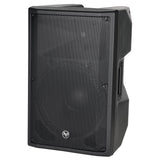 15” 2-Way Professional Passive Loudspeaker (DJAV-X15) Audiopipe