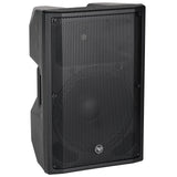15” 2-Way Professional Passive Loudspeaker (DJAV-X15) Audiopipe