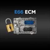 GM E66 ECM Service (Global B)