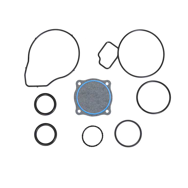 Ecotec 2.0 Water Pump Gasket Set