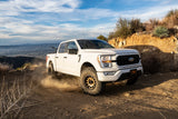 2 Inch Leveling Kit | FOX 2.0 Coilover | Ford F150 (21-26) 4WD BDS Suspension