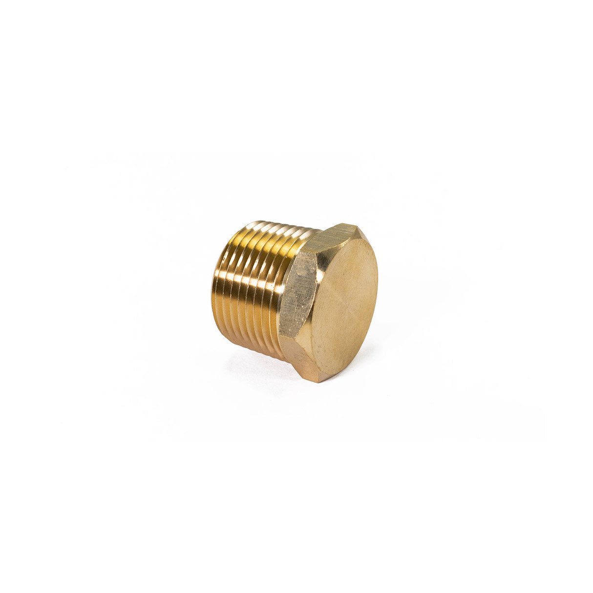 3/4" NPT Brass Air Inlet Plug HornBlasters