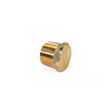 3/4" NPT Brass Air Inlet Plug HornBlasters