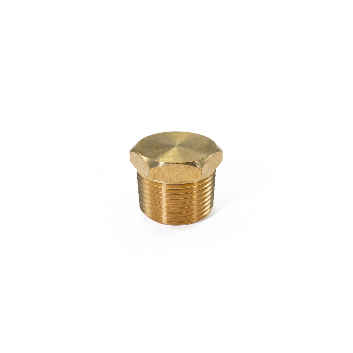3/4" NPT Brass Air Inlet Plug HornBlasters