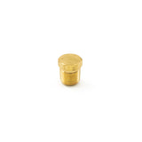 1/8" NPT Brass Plug HornBlasters