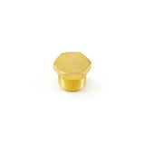 1/2" NPT Brass Plug HornBlasters