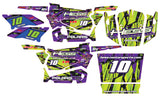 Polaris RZR XP 900 Graphic Kit - Hess Motorsports Custom Kit