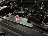 SPE Motorsport Ford 2015+ F150 Billet Degas Tank