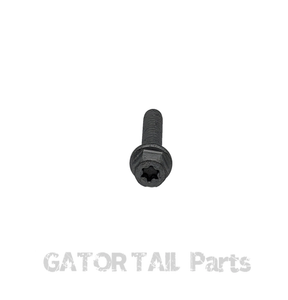 Muffler Bolt Briggs