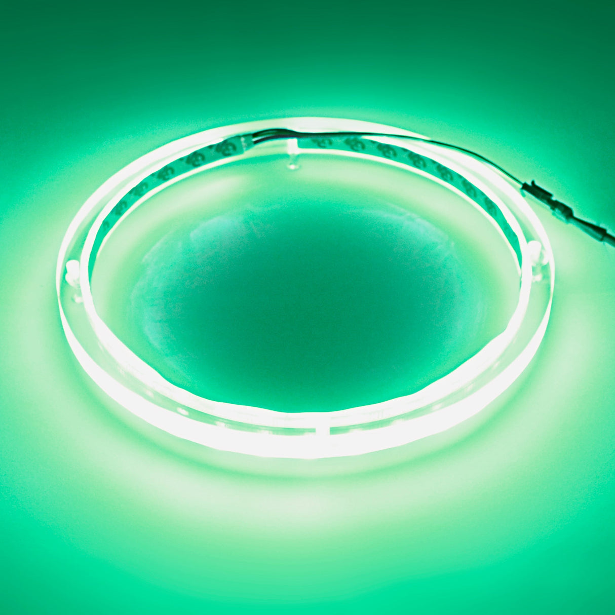 10" RGB LED Speaker Rings (NL-RIAPMP-10RGB) Audiopipe