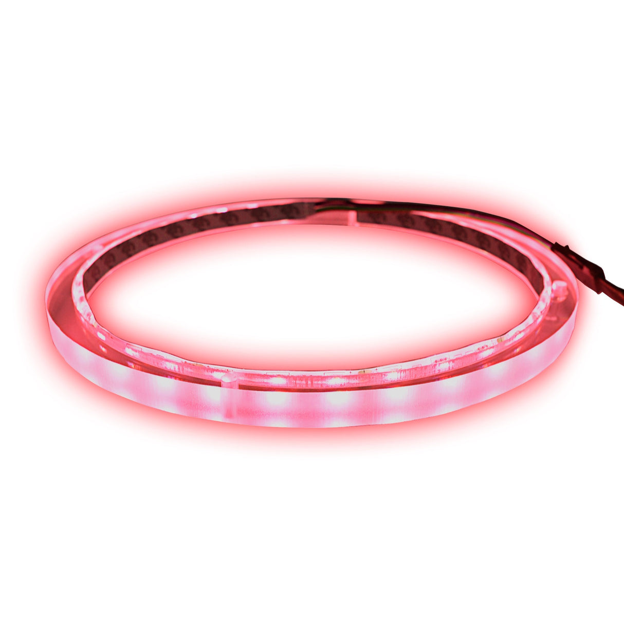 8" RGB LED Speaker Rings (NL-RIAPMP-8RGB) Audiopipe
