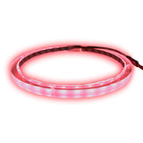 12" RGB LED Speaker Rings (NL-RIAPMP-12RGB) Audiopipe