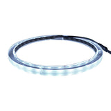 12" RGB LED Speaker Rings (NL-RIAPMP-12RGB) Audiopipe