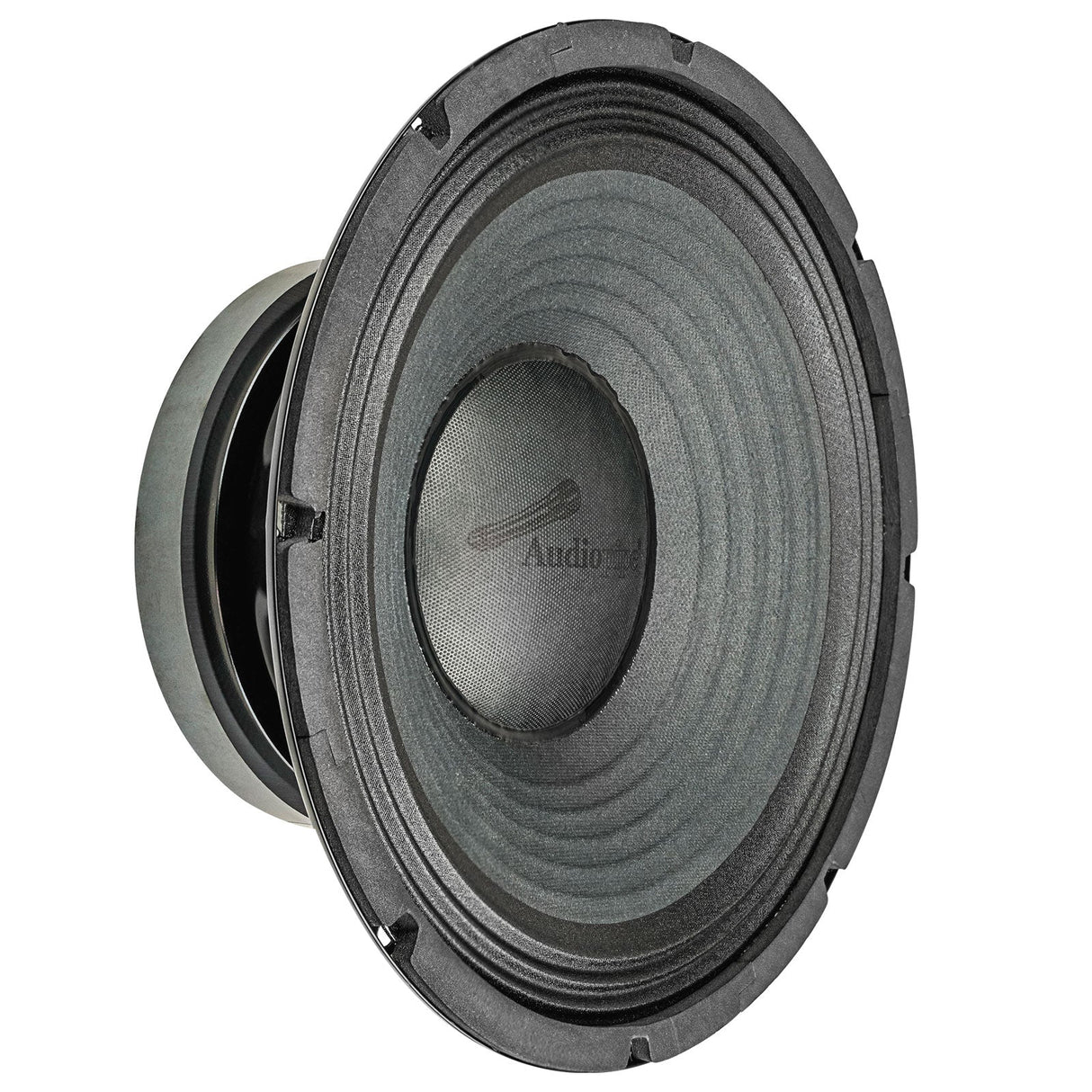 12" Professional  Public Address Woofer (NWA-1283) Audiopipe