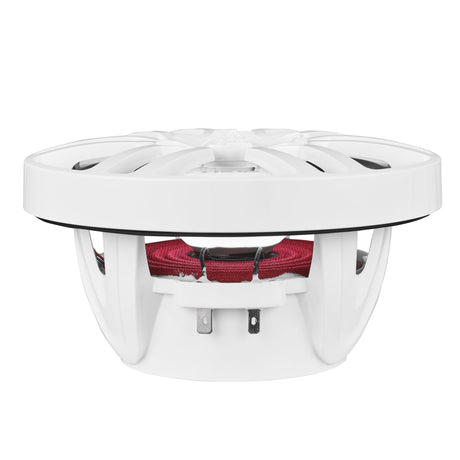 NXL 6.5" 2-Way Coaxial Marine Speaker with LED RGB Lights | 100W RMS 4-Ohm