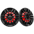 DS18 NXL-6/BK DS18