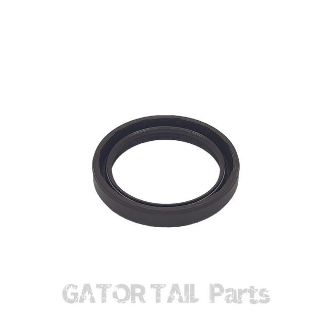 Engine Oil Seal Briggs