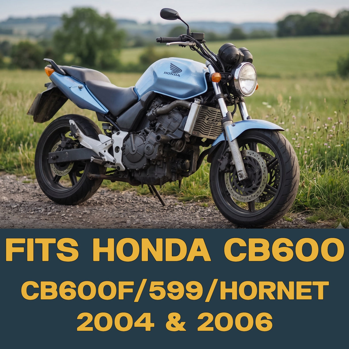 Honda CB600F 2004 & 2006 Ceramic Brake Pad Set Traild