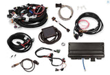 GM LS Compatible 376 c.i. Pro Series Engine - 525 Horsepower - Base Dressed - Holley Terminator X EFI System