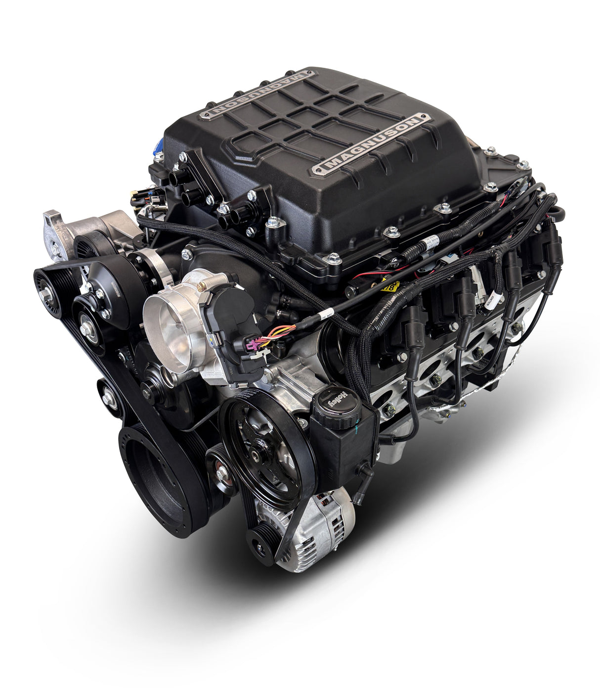 GM LS Compatible 427 c.i. Pro Series Engine - 830 Horsepower - Deluxe Dressed - Natural Pulley Kit - Holley Terminator X EFI System
