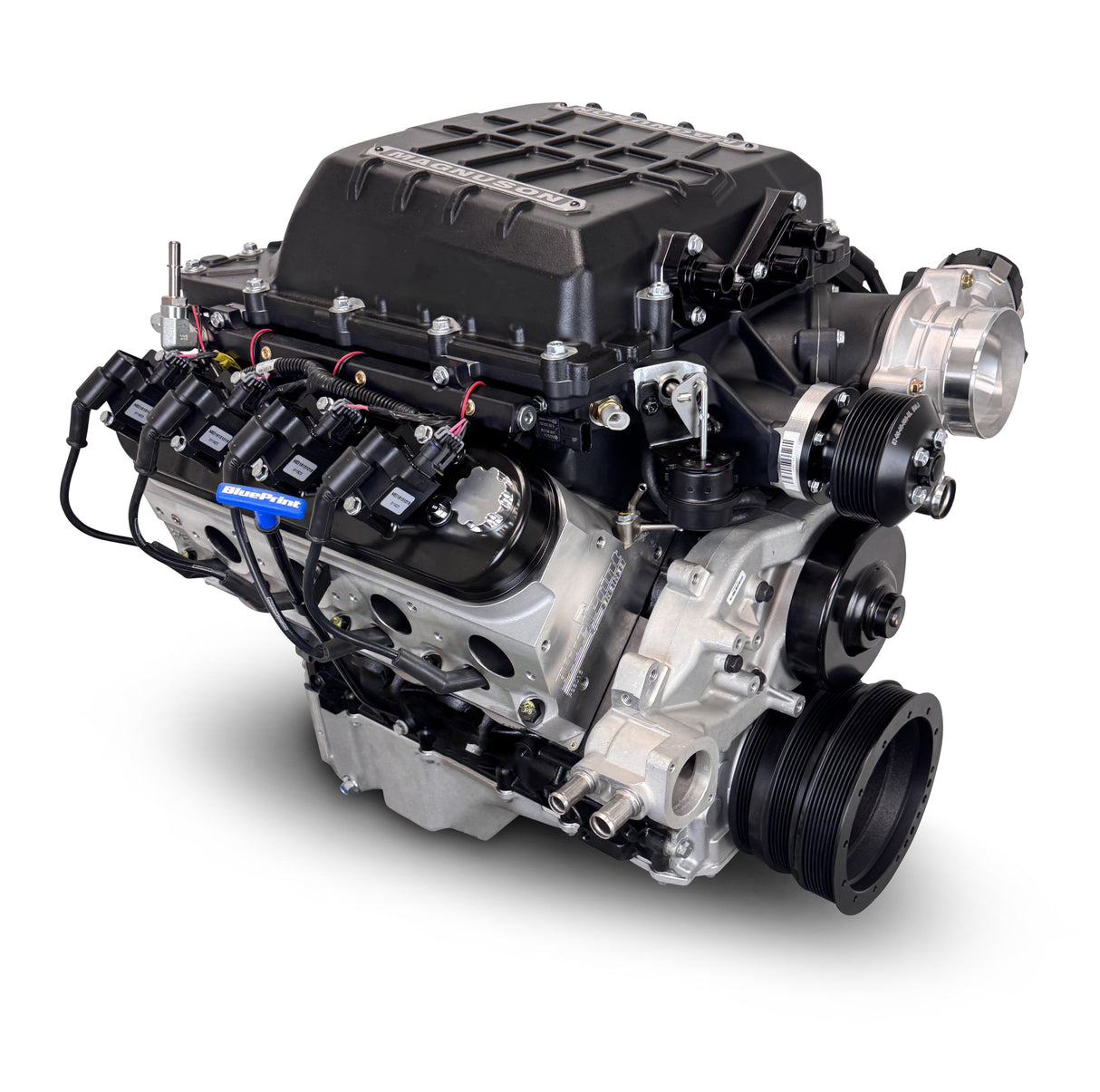GM LS Compatible 427 c.i. Pro Series Engine - 830 Horsepower - Base Dressed - Holley Terminator X EFI System