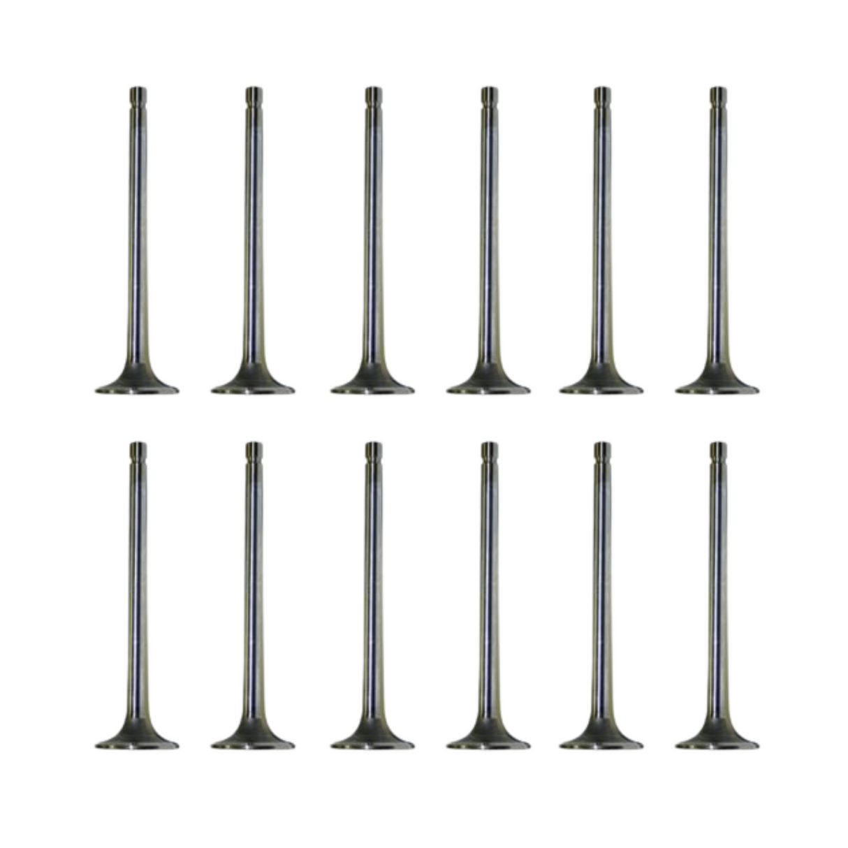 2002-2022 Cummins SBI Intake Valve Set of 12 (02014)