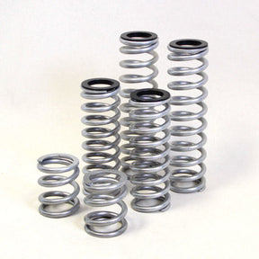 Dual Rate Springs Kit | Polaris RZR 900 Trail 50 Inch RT Pro UTV