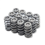 Ensemble de ressorts de soupape Terminator WSRD | Can-Am X3 et Ski-Doo 900ACE