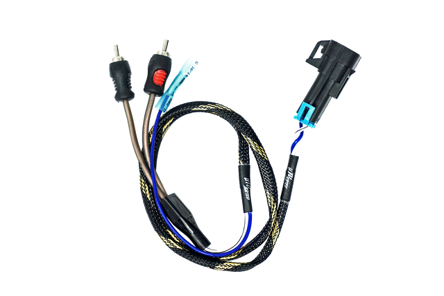 '20-'26 RZR® Pro Series Ride Command Subwoofer RCA Output Harness + Remote | UTVS-PRO-RC-SUB-OUT UTV Stereo