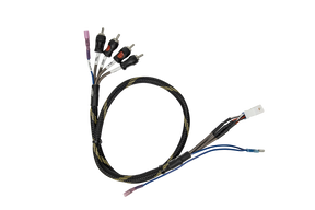 Can-Am® Maverick R BRP GO Front & Rear RCA Output Harness + Remote | UTVS-R-GO-RCA-OUT UTV Stereo