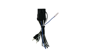 RZR® Ride Command Amplifier Harness + Remote | UTVS-RZR-RC-RCA-REM UTV Stereo