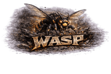 “Wasp” EZ-GO Series Electric Golf Cart Motor - 48V 11.5HP 18-23MPH