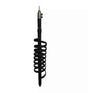 TekShack Workman Viper 2F Flat Black - 25,000W CB Antenna Workman