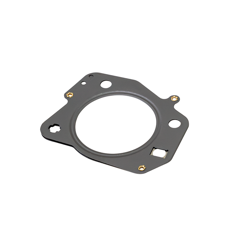 ZZP LNF Turbo Gasket